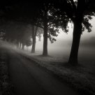 journey into the unknown 